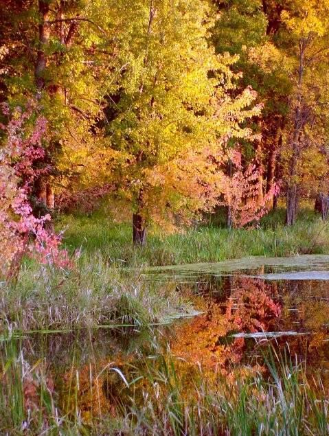 beautifulcreek.jpg